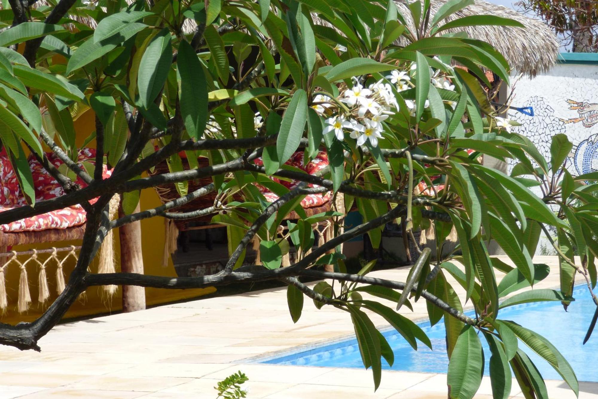 A Toca Do Bem-Te-Vi Hotel อากวสเบลัส ภายนอก รูปภาพ